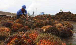 Gambar WhatsApp 2023-11-17 pukul 15.49.22_14db70e5