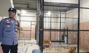 Gambar WhatsApp 2023-11-21 pukul 08.56.01_274a492c