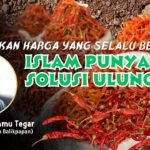 Kenaikan Harga